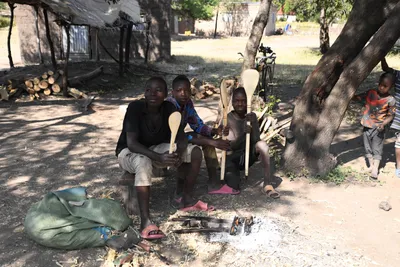 DSC_2919 (Large).JPG